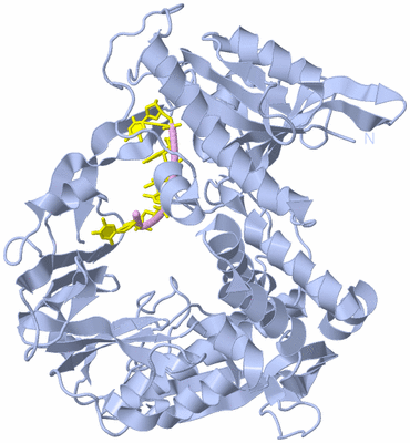 Image Biological Unit 1