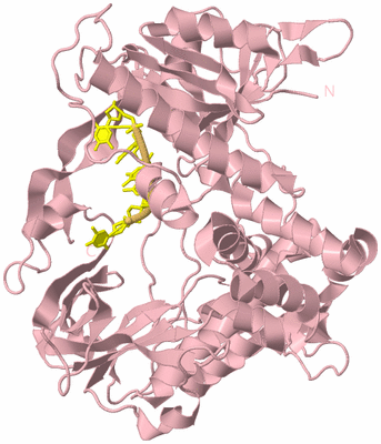 Image Biological Unit 3