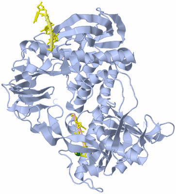 Image Biological Unit 1