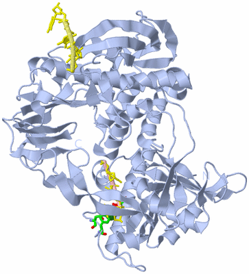 Image Biol. Unit 1 - sites