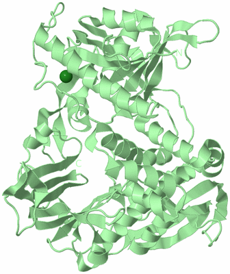 Image Biological Unit 2