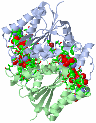 Image Asym./Biol. Unit - sites