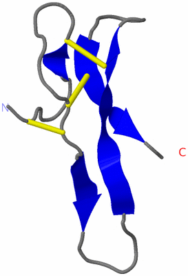 Image NMR Structure - model 1