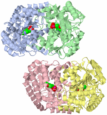 Image Biological Unit 1