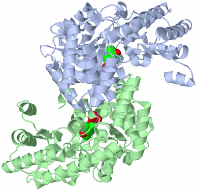 Image Biological Unit 2