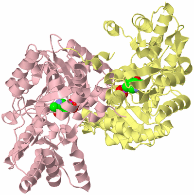 Image Biological Unit 3