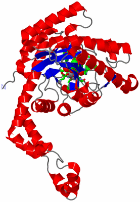 Image Asym. Unit - sites