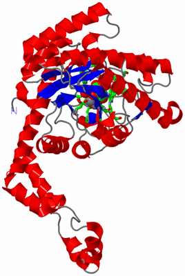 Image Asym. Unit - sites