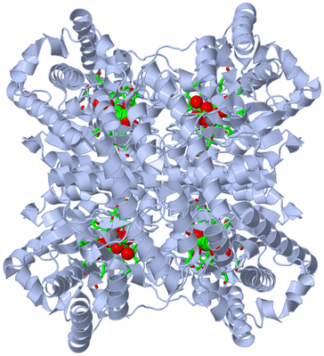 Image Biol. Unit 1 - sites