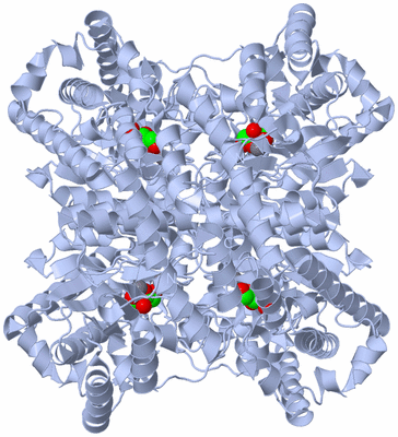 Image Biological Unit 1