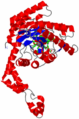 Image Asym. Unit - sites