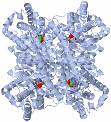 Image Biological Unit 1