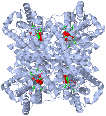 Image Biol. Unit 1 - sites