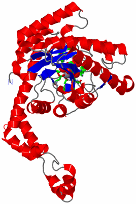 Image Asym. Unit - sites