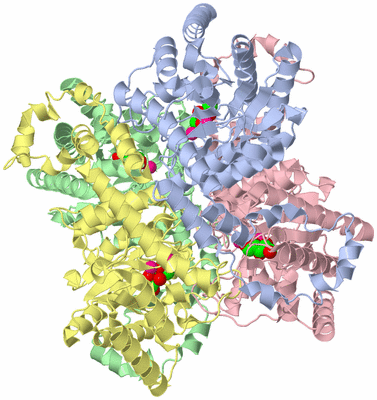 Image Asym./Biol. Unit