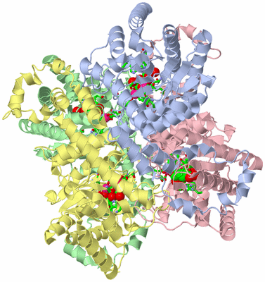 Image Asym./Biol. Unit - sites