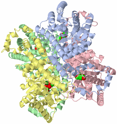 Image Asym./Biol. Unit