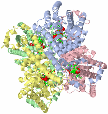 Image Asym./Biol. Unit - sites