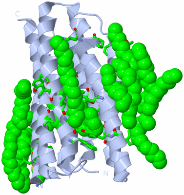 Image Biol. Unit 1 - sites