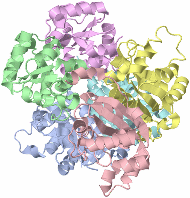 Image Asym./Biol. Unit