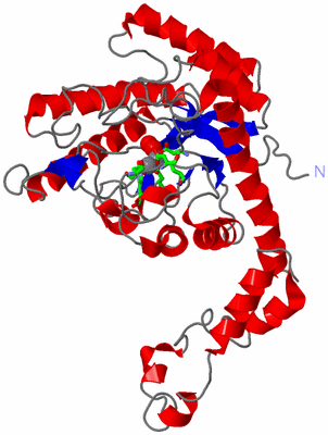 Image Asym. Unit - sites