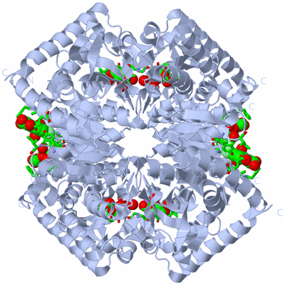 Image Biol. Unit 1 - sites