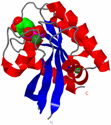 Image Asym./Biol. Unit