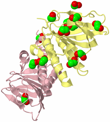 Image Biological Unit 2