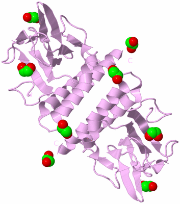 Image Biological Unit 3