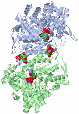 Image Asym./Biol. Unit