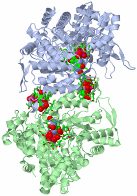 Image Asym./Biol. Unit - sites