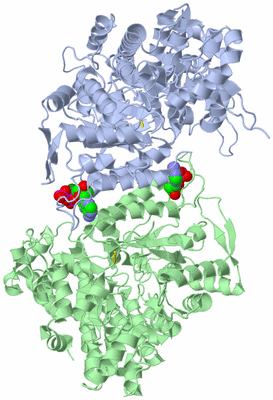 Image Asym./Biol. Unit