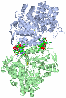 Image Asym./Biol. Unit - sites