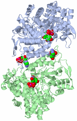 Image Asym./Biol. Unit