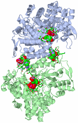 Image Asym./Biol. Unit - sites