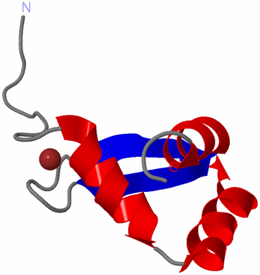 Image NMR Structure - model 1