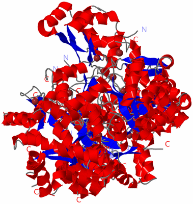 Image NMR Structure - all models