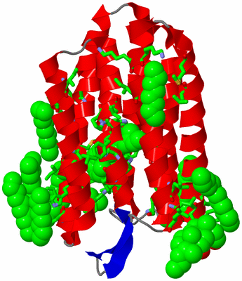 Image Asym./Biol. Unit - sites