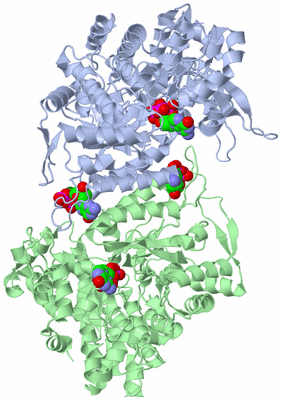 Image Asym./Biol. Unit