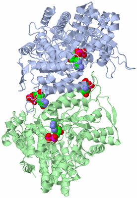 Image Asym./Biol. Unit