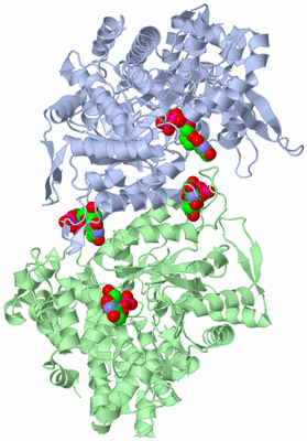 Image Asym./Biol. Unit