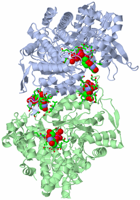 Image Asym./Biol. Unit - sites