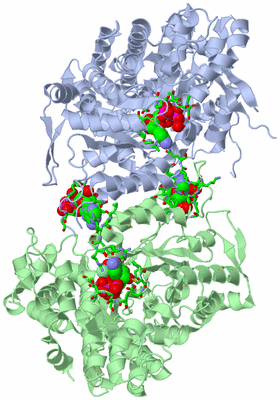 Image Biol. Unit 1 - sites