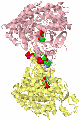 Image Biological Unit 2