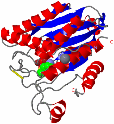 Image Asym./Biol. Unit