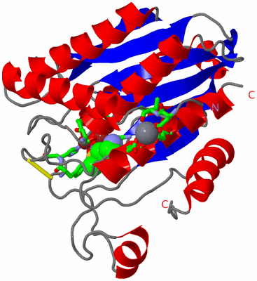 Image Asym./Biol. Unit - sites