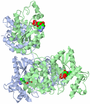 Image Asym./Biol. Unit