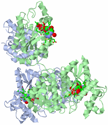 Image Asym./Biol. Unit - sites