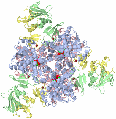 Image Biological Unit 1