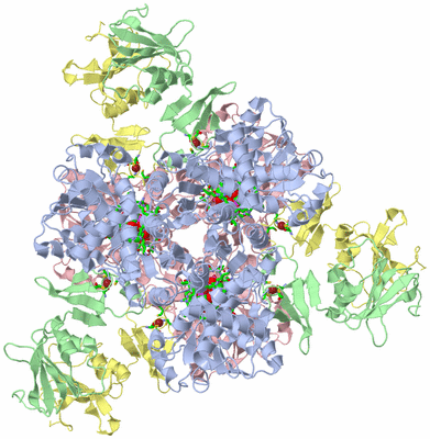 Image Biol. Unit 1 - sites